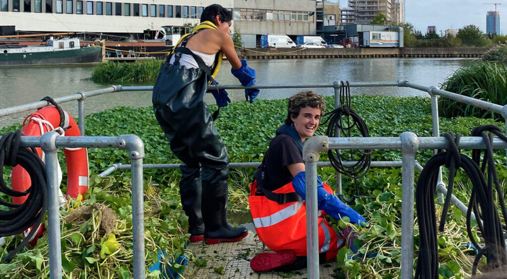 Channelsea-pennywort-clean-up